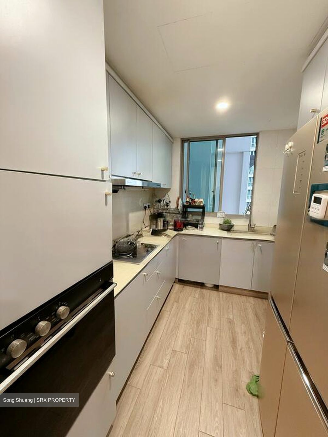 Amaryllis Ville (D11), Condominium #569500101